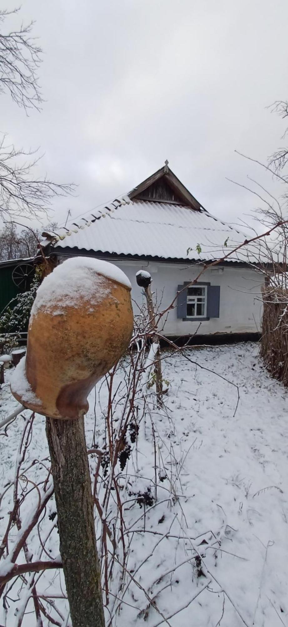 медова